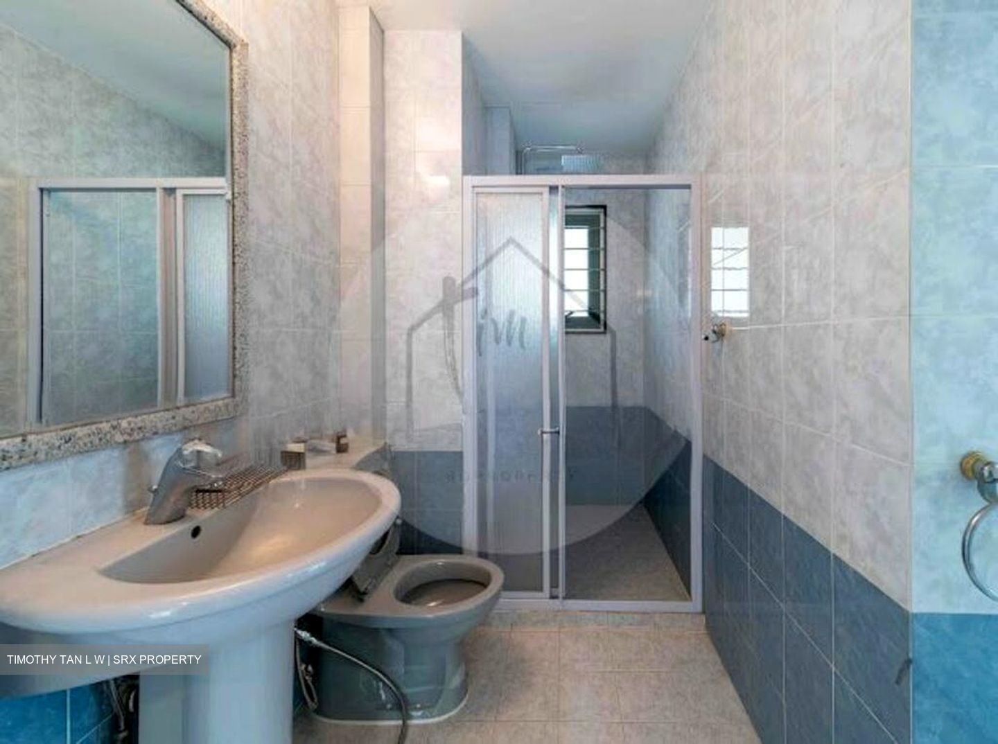 Windsor Park (D20), Detached #539293541
